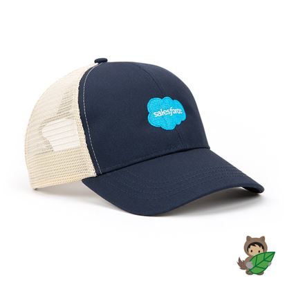 Salesforce Eco Trucker Hat