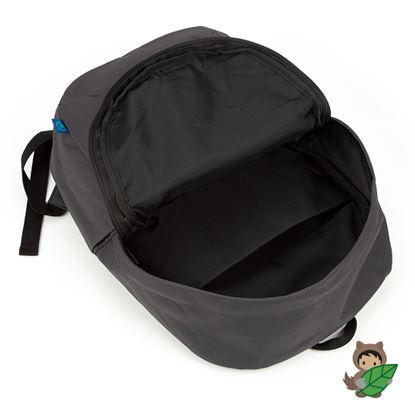 repreve backpack